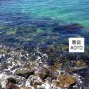 ヒメ日記 2025/11/24 06:14 投稿 碧音 熟女の風俗最終章 横浜本店