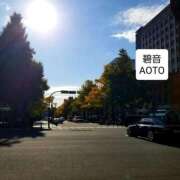 ヒメ日記 2025/11/24 11:05 投稿 碧音 熟女の風俗最終章 横浜本店