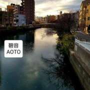 ヒメ日記 2025/11/26 15:51 投稿 碧音 熟女の風俗最終章 横浜本店