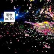 ヒメ日記 2025/11/26 17:44 投稿 碧音 熟女の風俗最終章 横浜本店