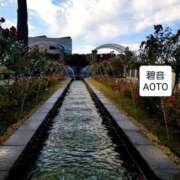 ヒメ日記 2025/11/28 10:37 投稿 碧音 熟女の風俗最終章 横浜本店