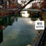 ヒメ日記 2025/11/28 15:48 投稿 碧音 熟女の風俗最終章 横浜本店