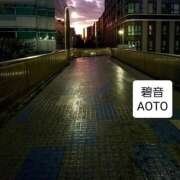 ヒメ日記 2025/11/28 19:44 投稿 碧音 熟女の風俗最終章 横浜本店