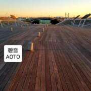 ヒメ日記 2025/11/28 22:14 投稿 碧音 熟女の風俗最終章 横浜本店