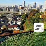 ヒメ日記 2025/11/28 23:14 投稿 碧音 熟女の風俗最終章 横浜本店