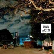 ヒメ日記 2025/11/29 03:54 投稿 碧音 熟女の風俗最終章 横浜本店