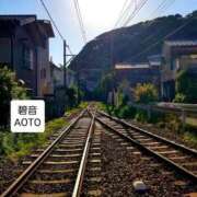 ヒメ日記 2025/11/30 12:55 投稿 碧音 熟女の風俗最終章 横浜本店