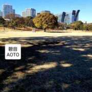 ヒメ日記 2025/12/04 14:39 投稿 碧音 熟女の風俗最終章 横浜本店