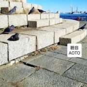 ヒメ日記 2025/12/05 06:14 投稿 碧音 熟女の風俗最終章 横浜本店