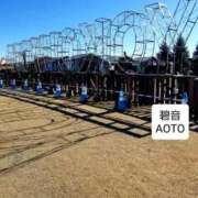 ヒメ日記 2025/12/05 10:54 投稿 碧音 熟女の風俗最終章 横浜本店