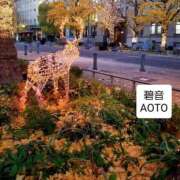 ヒメ日記 2025/12/07 17:14 投稿 碧音 熟女の風俗最終章 横浜本店