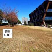 ヒメ日記 2025/12/08 04:14 投稿 碧音 熟女の風俗最終章 横浜本店