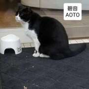 ヒメ日記 2025/12/09 07:25 投稿 碧音 熟女の風俗最終章 横浜本店