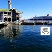 ヒメ日記 2025/12/10 00:14 投稿 碧音 熟女の風俗最終章 横浜本店