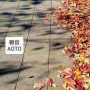 ヒメ日記 2025/12/11 12:34 投稿 碧音 熟女の風俗最終章 横浜本店