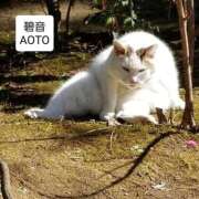 ヒメ日記 2025/12/11 13:15 投稿 碧音 熟女の風俗最終章 横浜本店