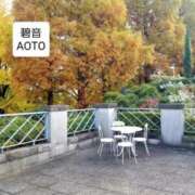 ヒメ日記 2025/12/13 10:03 投稿 碧音 熟女の風俗最終章 横浜本店