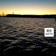 ヒメ日記 2025/12/15 07:04 投稿 碧音 熟女の風俗最終章 横浜本店