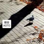 ヒメ日記 2025/12/17 13:24 投稿 碧音 熟女の風俗最終章 横浜本店