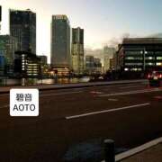 ヒメ日記 2025/12/17 15:44 投稿 碧音 熟女の風俗最終章 横浜本店