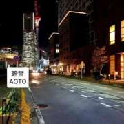 ヒメ日記 2025/12/18 00:14 投稿 碧音 熟女の風俗最終章 横浜本店