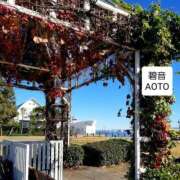 ヒメ日記 2025/12/19 05:04 投稿 碧音 熟女の風俗最終章 横浜本店