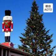 ヒメ日記 2025/12/19 06:24 投稿 碧音 熟女の風俗最終章 横浜本店