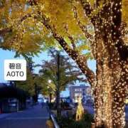 ヒメ日記 2025/12/19 16:40 投稿 碧音 熟女の風俗最終章 横浜本店