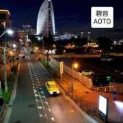 ヒメ日記 2025/12/19 17:59 投稿 碧音 熟女の風俗最終章 横浜本店