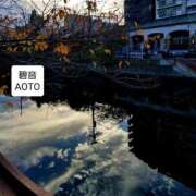 ヒメ日記 2025/12/19 23:19 投稿 碧音 熟女の風俗最終章 横浜本店