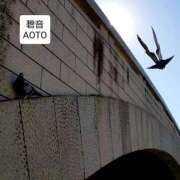 ヒメ日記 2025/12/22 05:14 投稿 碧音 熟女の風俗最終章 横浜本店