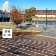 ヒメ日記 2025/12/22 14:24 投稿 碧音 熟女の風俗最終章 横浜本店