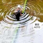 ヒメ日記 2025/12/25 16:04 投稿 碧音 熟女の風俗最終章 横浜本店