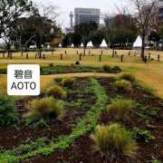 ヒメ日記 2025/12/26 06:34 投稿 碧音 熟女の風俗最終章 横浜本店