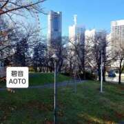 ヒメ日記 2025/12/26 11:36 投稿 碧音 熟女の風俗最終章 横浜本店