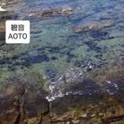 ヒメ日記 2025/12/27 05:04 投稿 碧音 熟女の風俗最終章 横浜本店