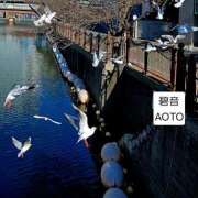 ヒメ日記 2026/01/03 11:04 投稿 碧音 熟女の風俗最終章 横浜本店