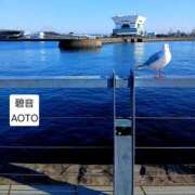 ヒメ日記 2026/01/06 09:48 投稿 碧音 熟女の風俗最終章 横浜本店