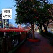 ヒメ日記 2026/01/07 02:04 投稿 碧音 熟女の風俗最終章 横浜本店