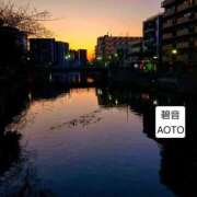 ヒメ日記 2026/01/07 02:27 投稿 碧音 熟女の風俗最終章 横浜本店