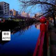 ヒメ日記 2026/01/08 17:00 投稿 碧音 熟女の風俗最終章 横浜本店