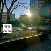 ヒメ日記 2026/01/09 03:24 投稿 碧音 熟女の風俗最終章 横浜本店