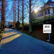 ヒメ日記 2026/01/10 07:24 投稿 碧音 熟女の風俗最終章 横浜本店