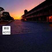 ヒメ日記 2026/01/12 05:34 投稿 碧音 熟女の風俗最終章 横浜本店