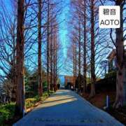 ヒメ日記 2026/01/12 06:54 投稿 碧音 熟女の風俗最終章 横浜本店