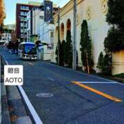 ヒメ日記 2026/01/12 07:57 投稿 碧音 熟女の風俗最終章 横浜本店