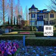 ヒメ日記 2026/01/12 10:02 投稿 碧音 熟女の風俗最終章 横浜本店