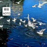 ヒメ日記 2026/01/12 10:38 投稿 碧音 熟女の風俗最終章 横浜本店