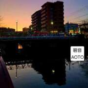 ヒメ日記 2026/01/12 13:44 投稿 碧音 熟女の風俗最終章 横浜本店