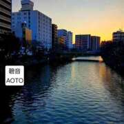 ヒメ日記 2026/01/12 14:49 投稿 碧音 熟女の風俗最終章 横浜本店